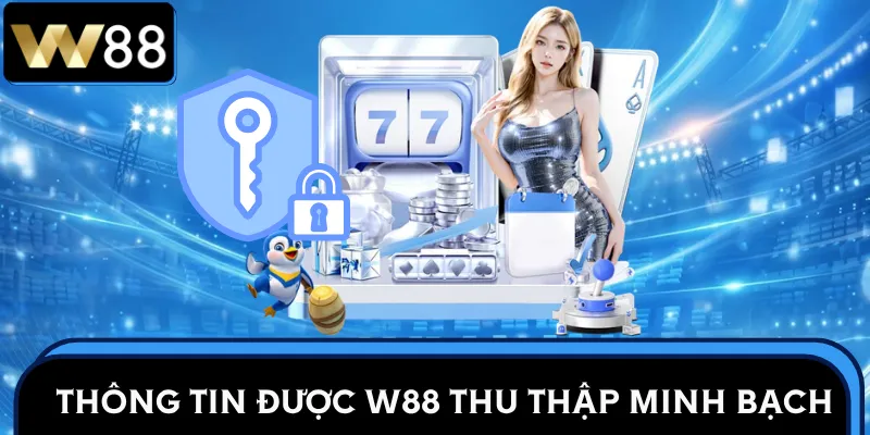 quyen-rieng-tu-w88-thong-tin-thu-thap